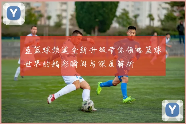 蓝篮球频道全新升级带你领略篮球世界的精彩瞬间与深度解析