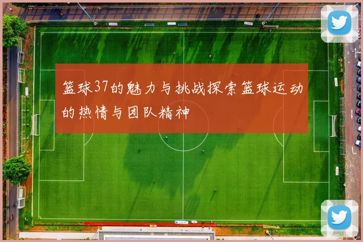 篮球37的魅力与挑战探索篮球运动的热情与团队精神