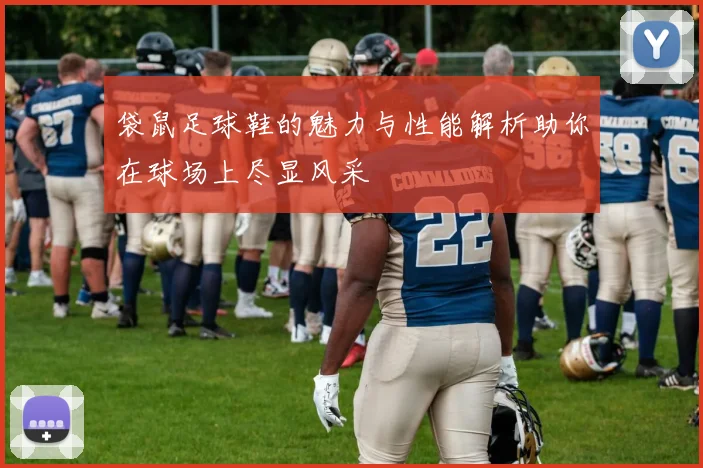 袋鼠足球鞋的魅力与性能解析助你在球场上尽显风采