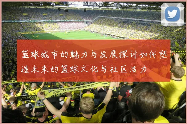篮球城市的魅力与发展探讨如何塑造未来的篮球文化与社区活力