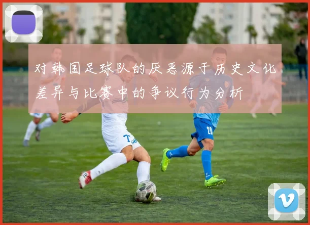 对韩国足球队的厌恶源于历史文化差异与比赛中的争议行为分析