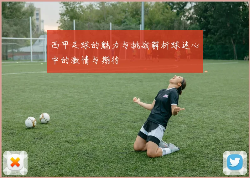 西甲足球的魅力与挑战解析球迷心中的激情与期待
